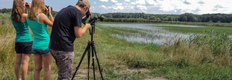 Wienerlied Festival - Rahmenprogramm vogel.schau.plätze
