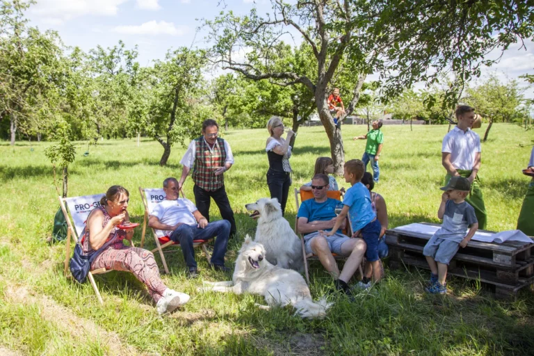 Ein Musikfestival der besonderen Art